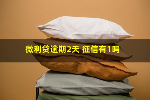 微利贷逾期2天 征信有1吗